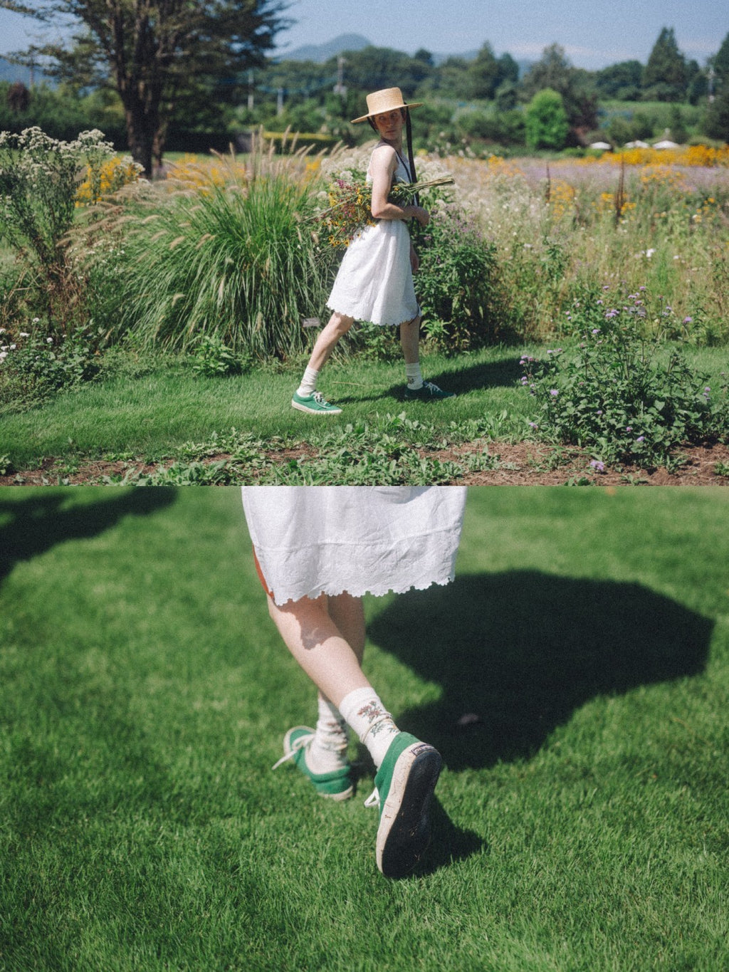 高山植物図鑑 #off white｜高山植物図鑑