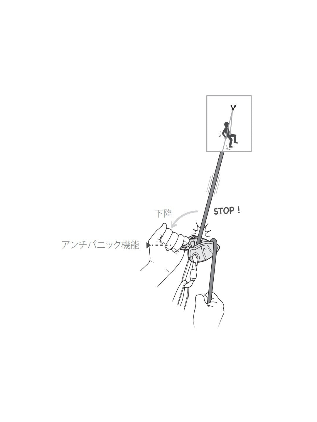 グリグリ＋ #イエロー [D015AA00]｜PETZL