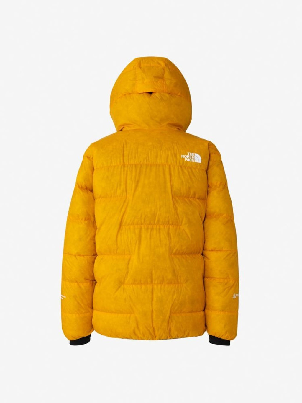 Ascent Peak Cloud Down Hoodie #SG [ND92520]｜THE NORTH FACE