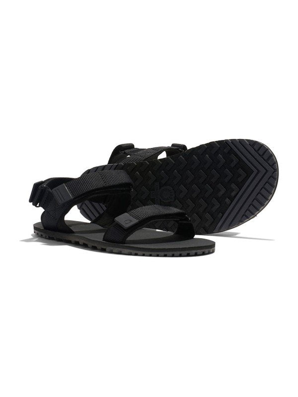 Men's D-トレイル #Black/Asphalt [DTRM-BKAP]｜XERO SHOES
