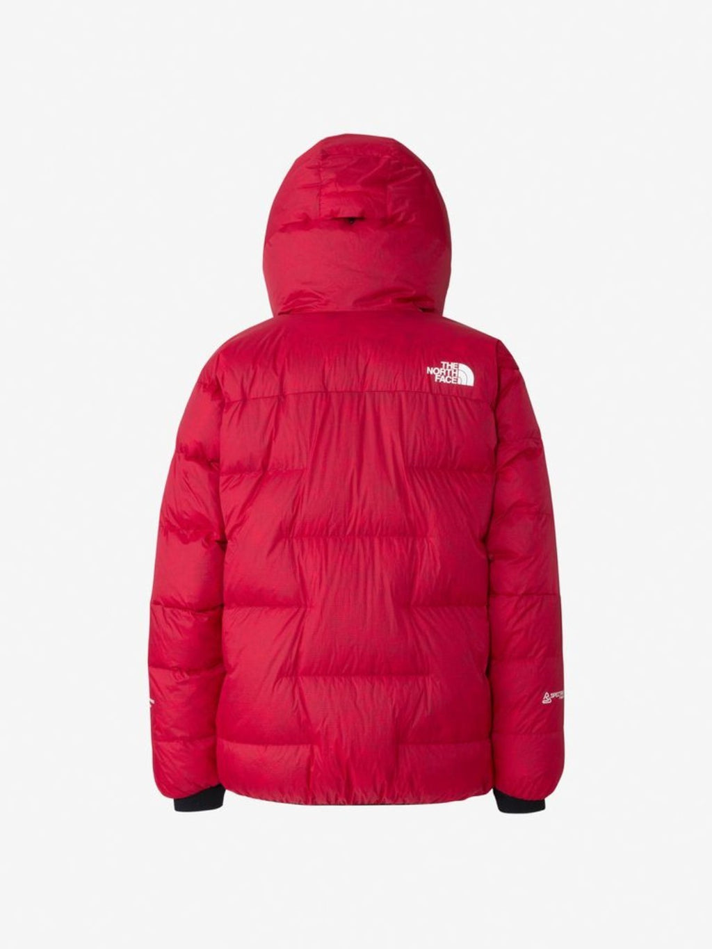 Ascent Peak Cloud Down Hoodie #TR [ND92520]｜THE NORTH FACE