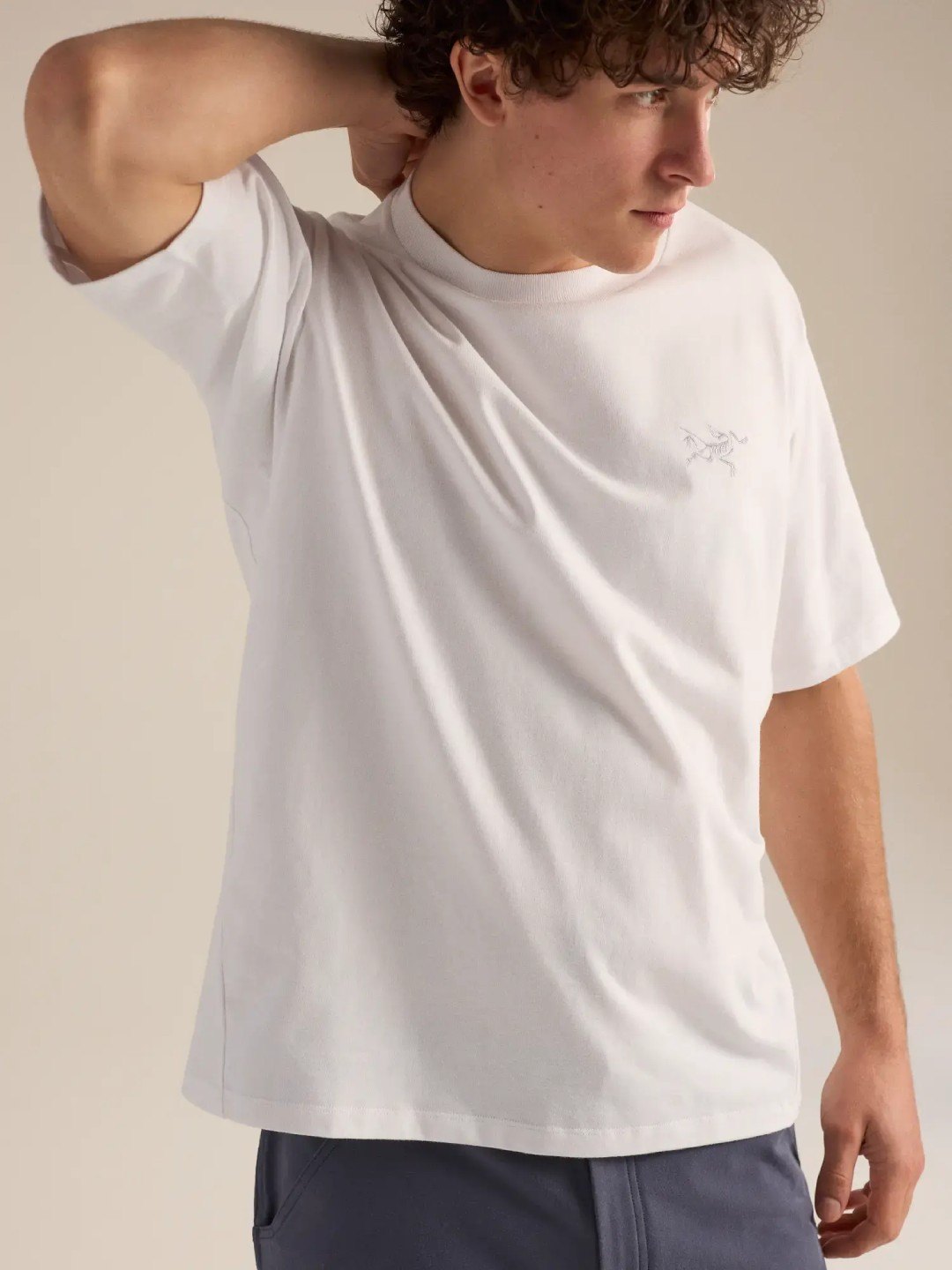 【Men】Kragg Cotton Emblem Crew SS M #White Light [X00001070203]｜ARC'TERYX