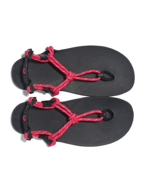 ジェネシス #ラズベリー [GEN-RASP]｜XERO SHOES