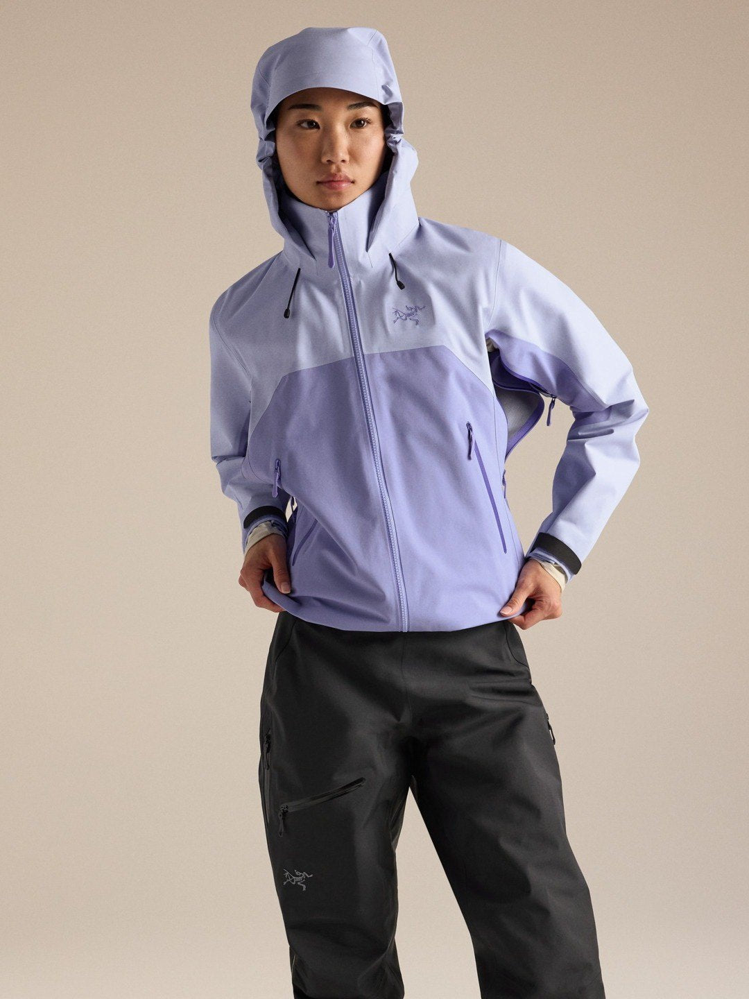 【Women】Women's Beta AR Jacket W #Kasumi / Moonstone [X00000986315]｜ARC'TERYX