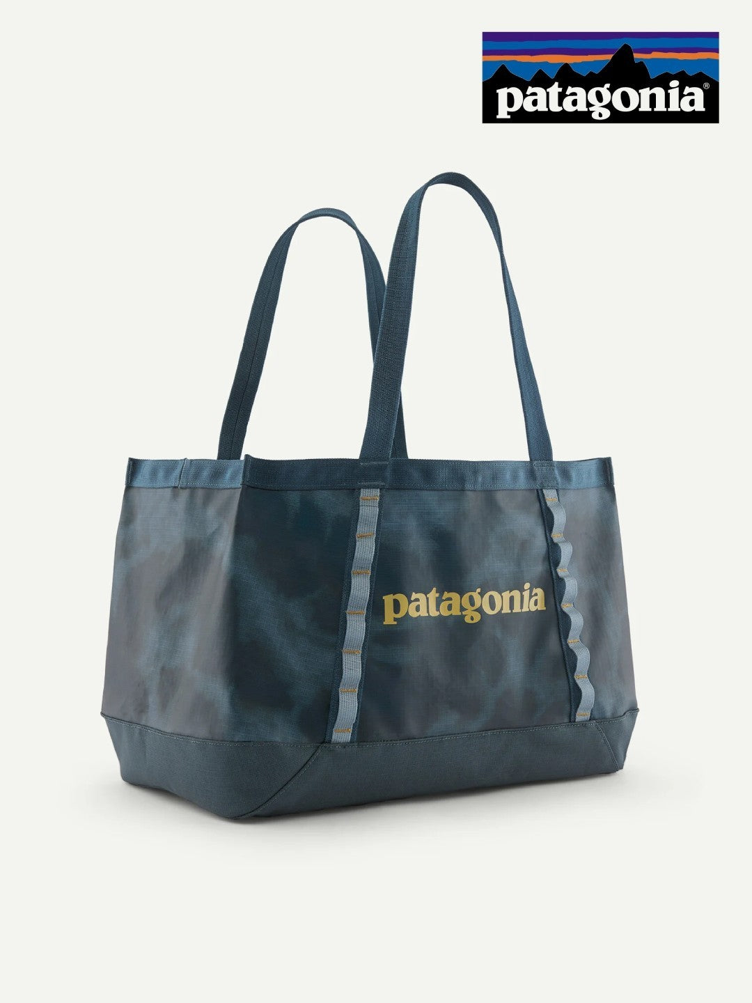 Black Hole Tote 25L #SASM [49032]｜patagonia
