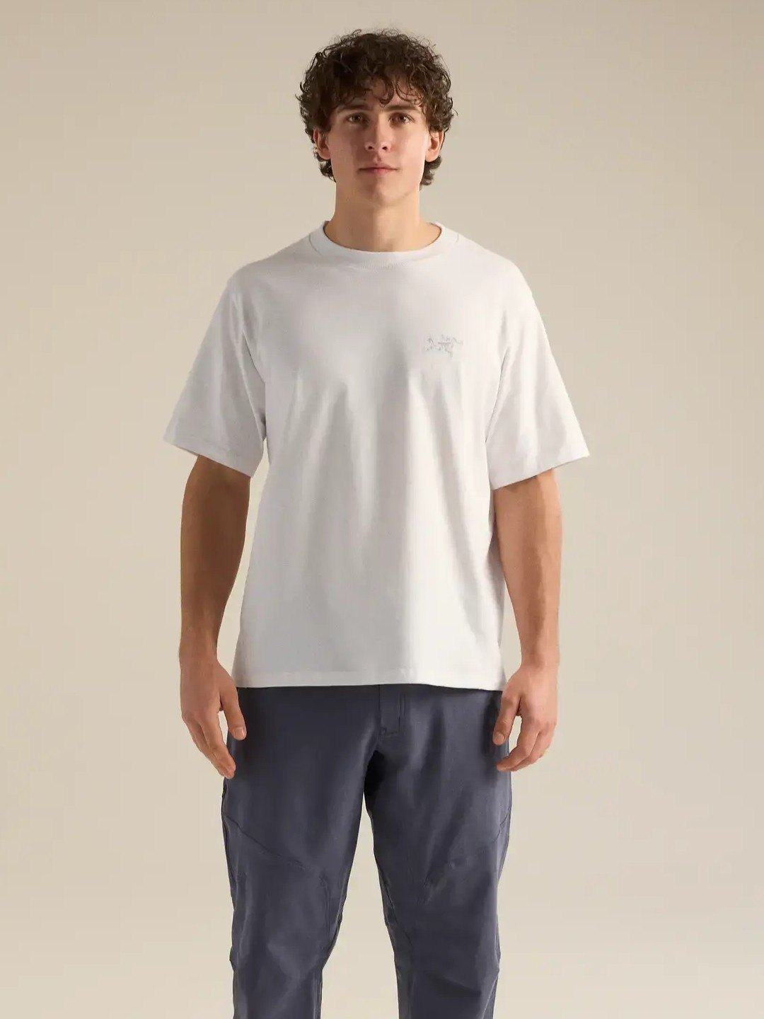 【Men】Kragg Cotton Emblem Crew SS M #White Light [X00001070203]｜ARC'TERYX