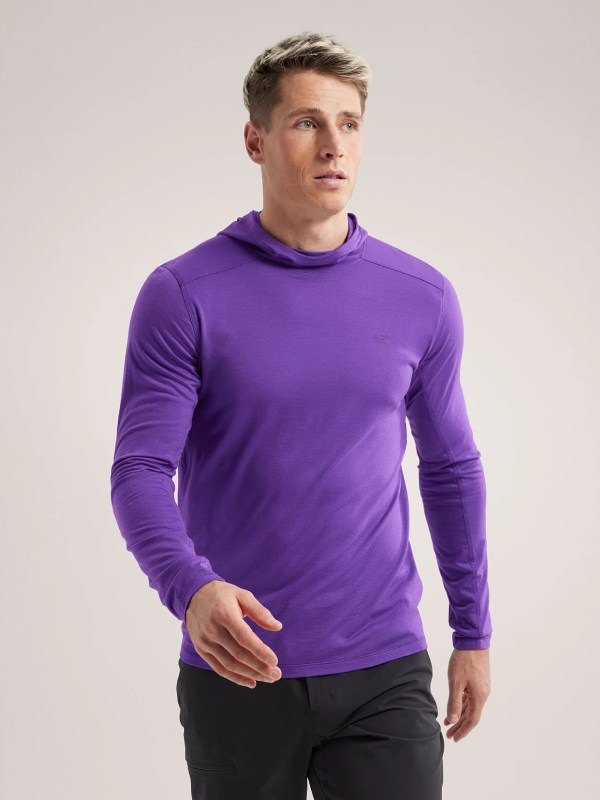 Ionia Merino Wool Hoody M #Iola [X00000685104]｜ARC'TERYX