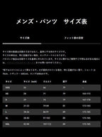 Men's Torrentshell 3L Pants (Regular) #BLK [85265]｜patagonia