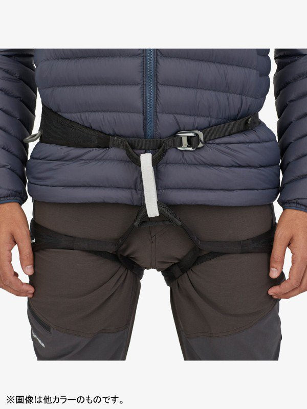 Men's Alplight Down Jacket #BRLG [85540]｜patagonia