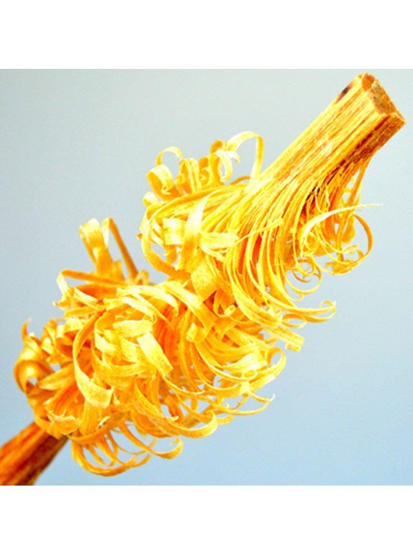 ティンダーウッド 300g｜BushCraft Inc.