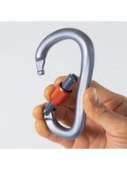 锁扣螺丝门 #灰色 [BD10535002] | Black Diamond