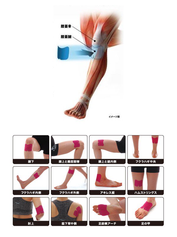 ニーダッシュ #ターコイズブルー｜New-HALE