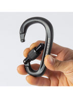 ペアロック スクリューゲート #ブラック [BD10538001]｜Black Diamond