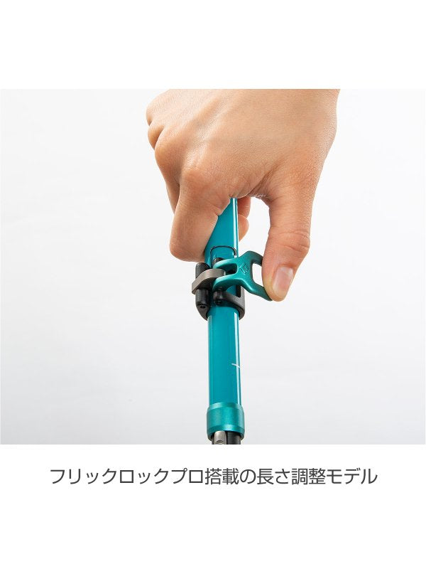 Women's ディスタンスカーボンFLZ #ダークパティナ [BD82293110]｜Black Diamond