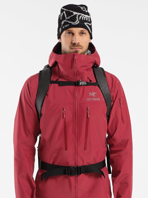 Alpha FL 40 backpack (Reg) #Black [29554][L08474800]｜ARC'TERYX