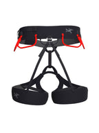 C-quence Harness  #Black/DyONEsty [24821][L07480200]｜ARC'TERYX