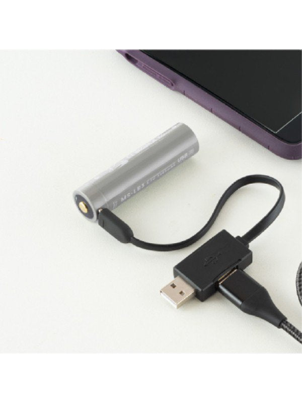 MS-i1 #Clay [MS-i1]｜milestone