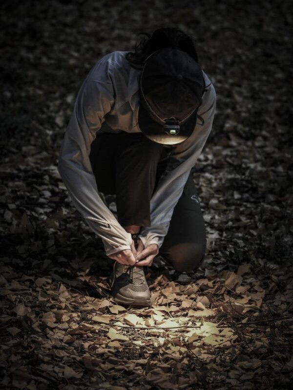 MS-G3 #ID [MS-G3]｜milestone