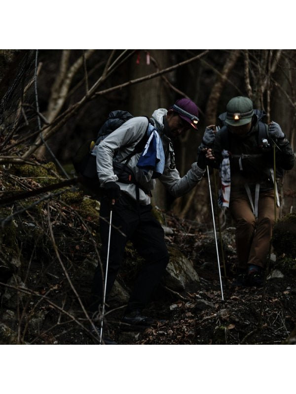 MS-G4 #OK [MS-G4]｜milestone