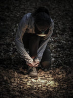 MS-G4 #OK [MS-G4]｜milestone