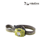 MS-H1 #Lettuce [MS-H1]｜milestone