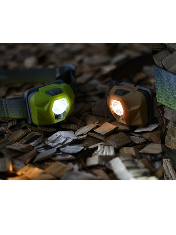 MS-H1 #Lettuce [MS-H1]｜milestone