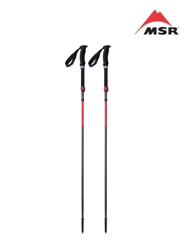 ダイナロックアッセント ポール L [40237]｜MSR