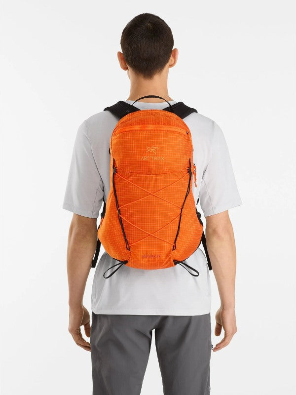 Aerios 15 Backpack (Reg) #Phenom [L08480000]｜ARC'TERYX