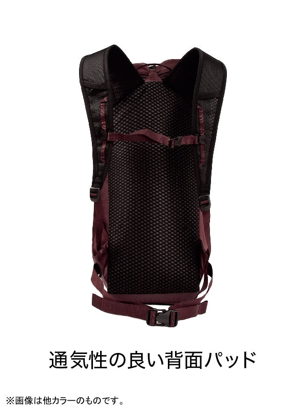 ドラゴンフライ26L #ワインテイスティング [100330]｜BLUE ICE