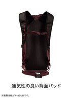 ドラゴンフライ26L #ワインテイスティング [100330]｜BLUE ICE