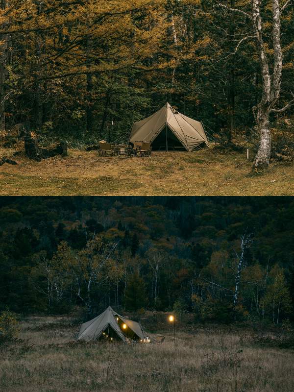 ゼクーM TC [PS-503]｜ZANE ARTS