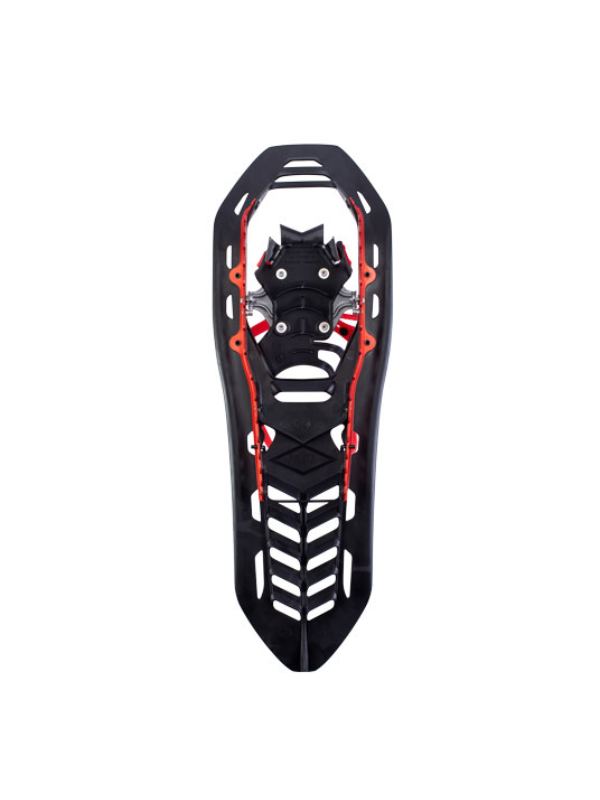 ヘリウム BC 23 [1831935]｜ATLAS