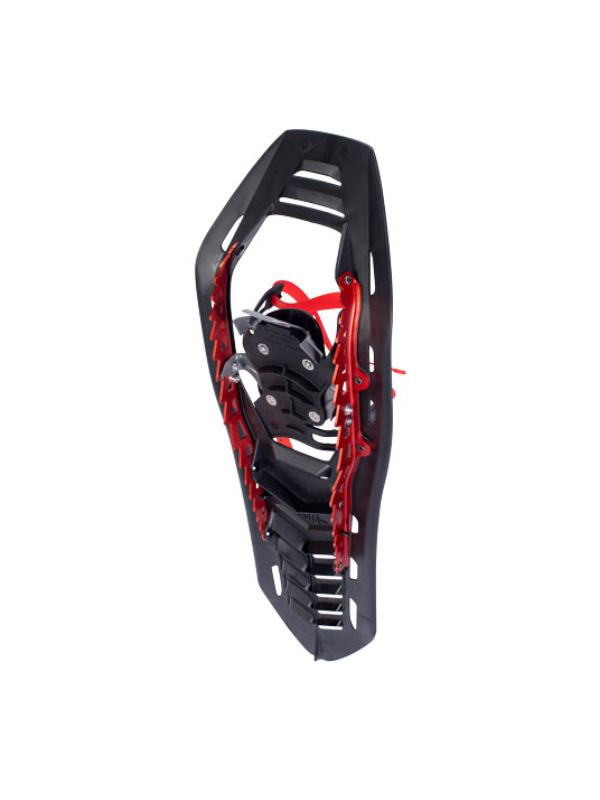 ヘリウム BC 23 [1831935]｜ATLAS