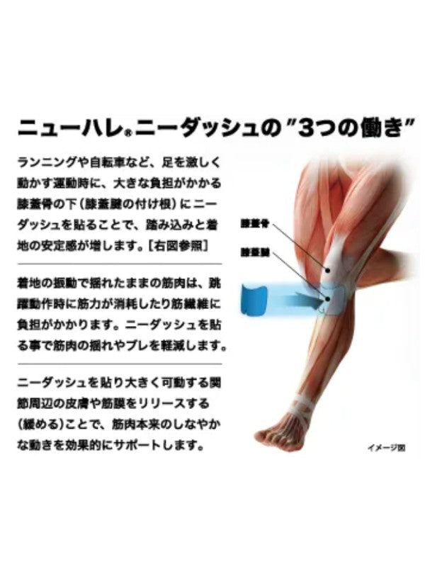 ニーダッシュ #イエロー [501009]｜New-HALE